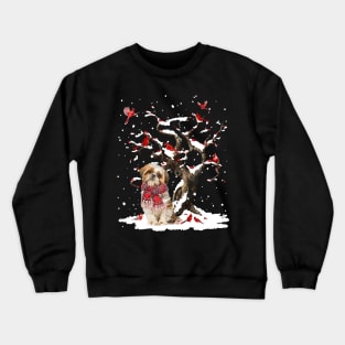 Shih Tzu Scarf Cardinal Snow Christmas Crewneck Sweatshirt